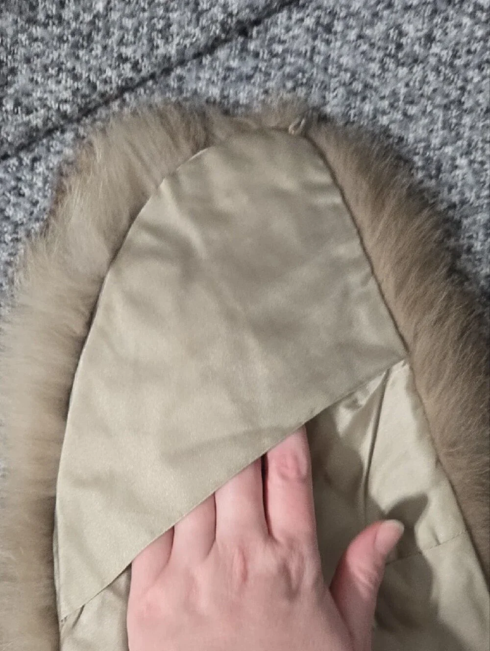 N/A real fox